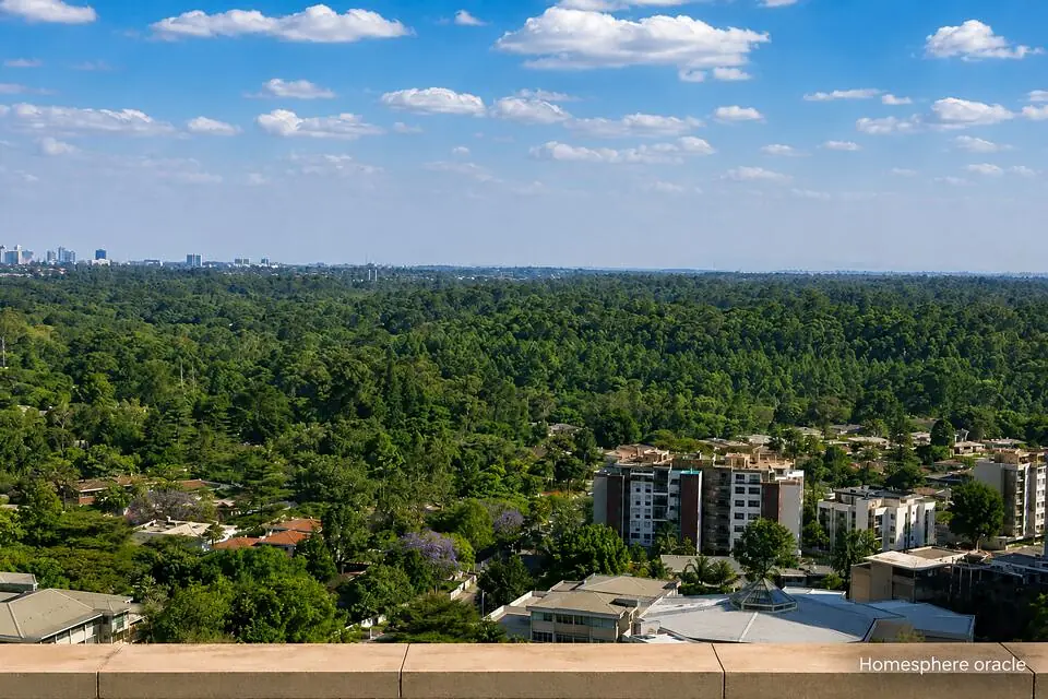 Elevated view of residential buildings and dense forest canopy at Capital Heights, Spring Valley.